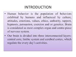 Taxi Management System